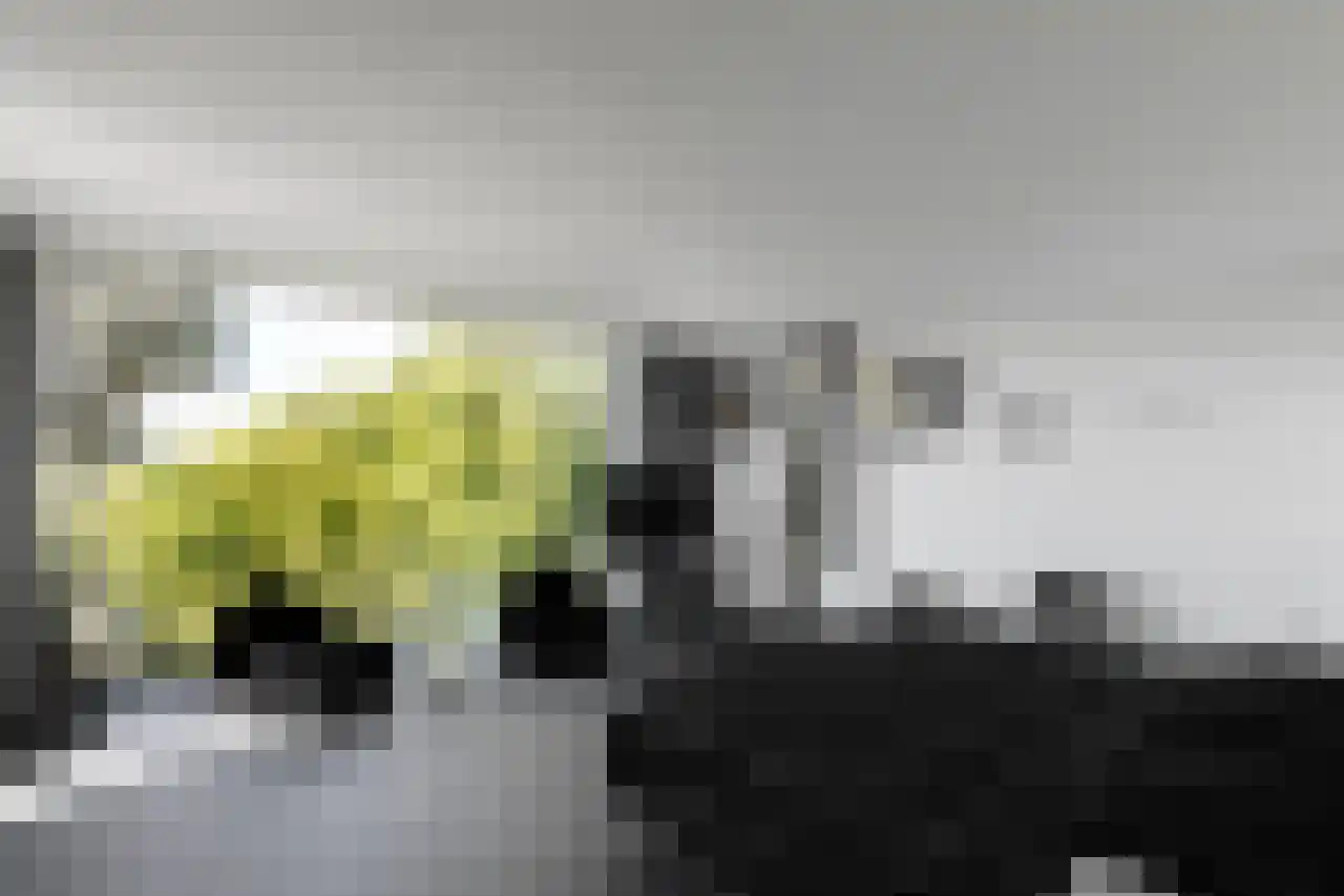 Herenweg 63 Rijnsaterwoude thumbnail 31
