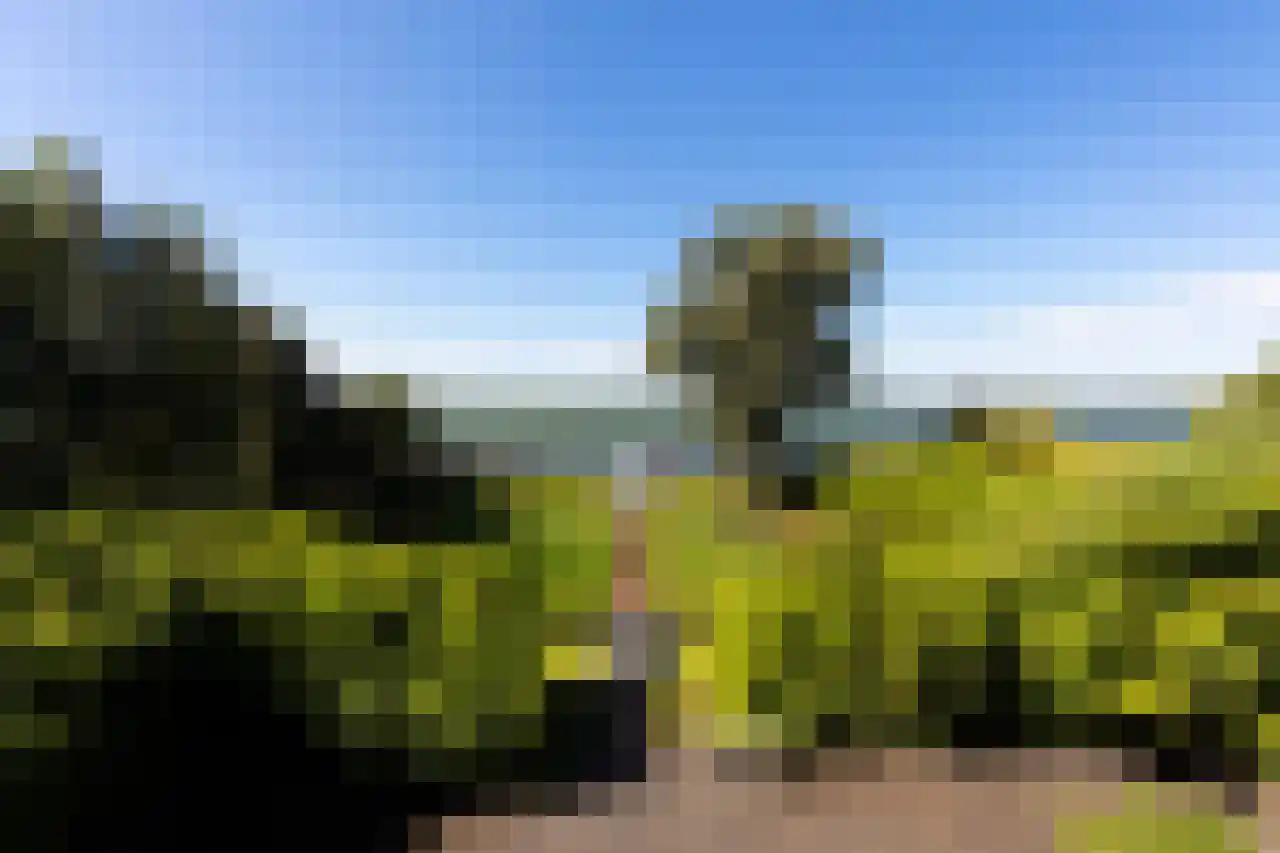 Herenweg 63 Rijnsaterwoude thumbnail 38