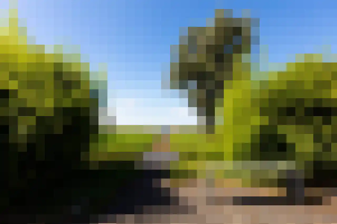 Herenweg 63 Rijnsaterwoude thumbnail 5