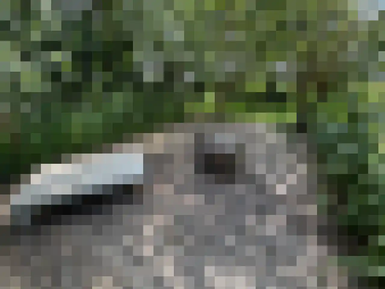 Herenweg 63 Rijnsaterwoude thumbnail 5