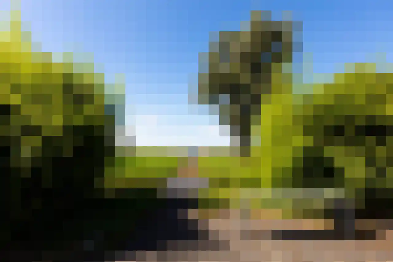 Herenweg 63 Rijnsaterwoude thumbnail 6