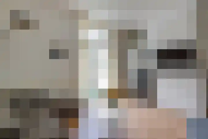 Herenweg 63 Utrecht thumbnail 10