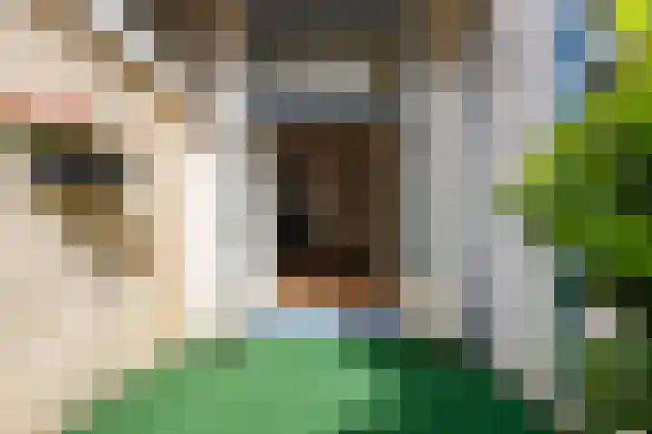 Herenweg 63 Utrecht thumbnail 9