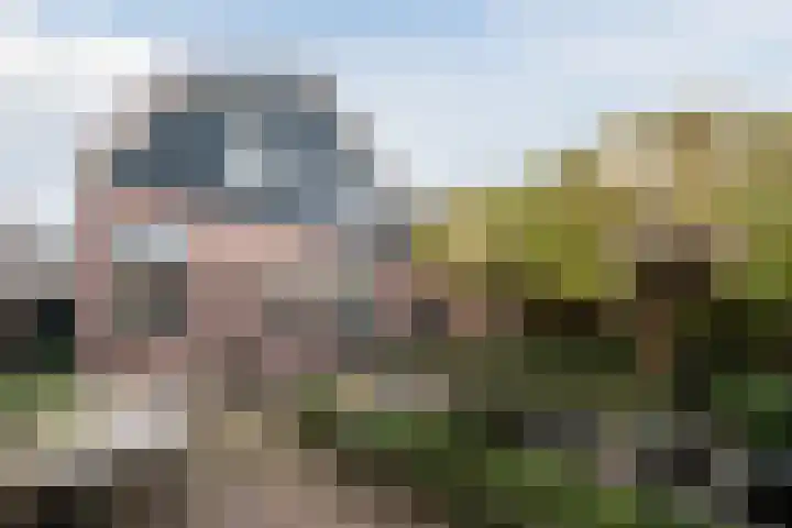 Herenweg 67 Oudorp thumbnail 45