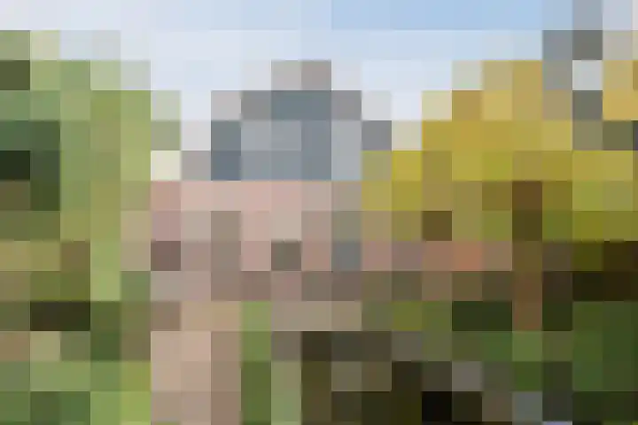 Herenweg 67 Oudorp thumbnail 49