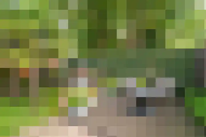 Herenweg 70 Oudorp thumbnail 16