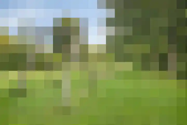 Herenweg 70 Oudorp thumbnail 30