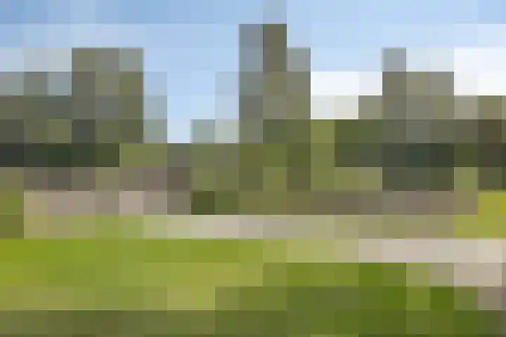 Herenweg 70 Oudorp thumbnail 32