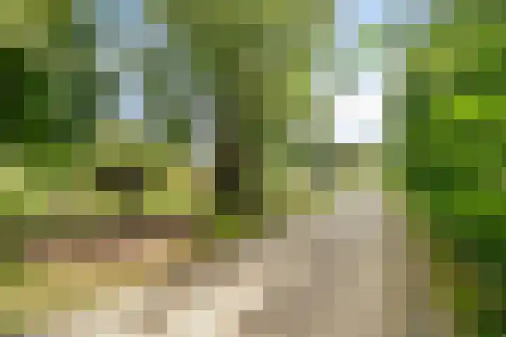 Herenweg 70 Oudorp thumbnail 33