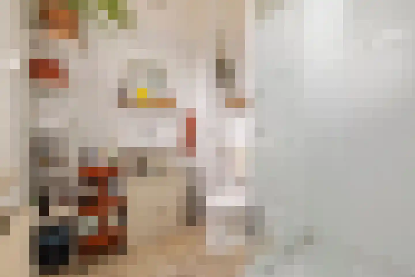 Herenweg 72 Utrecht thumbnail 12