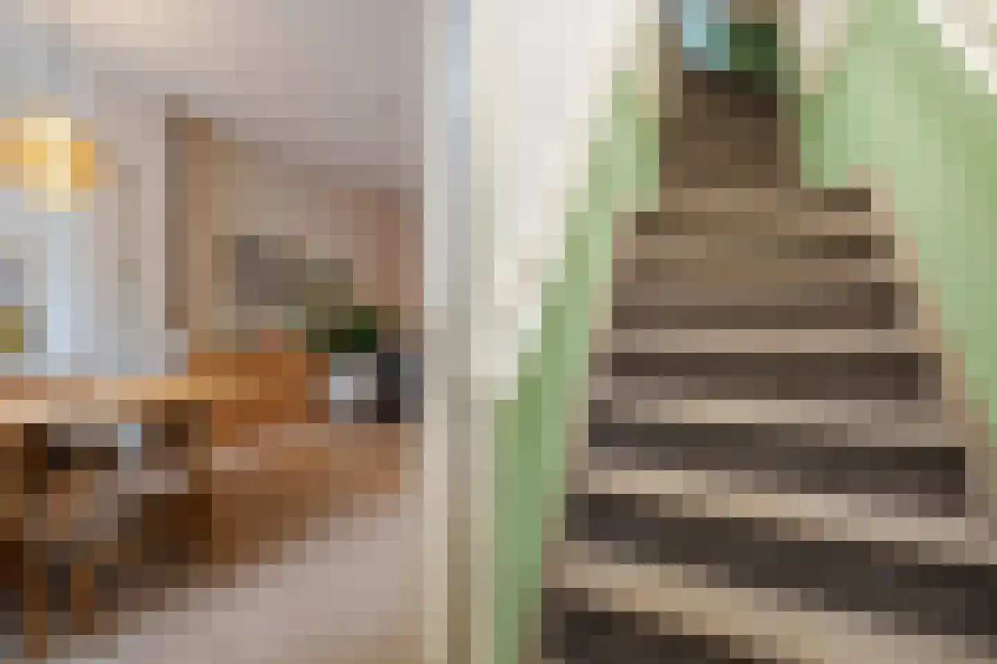 Herenweg 72 Utrecht thumbnail 14