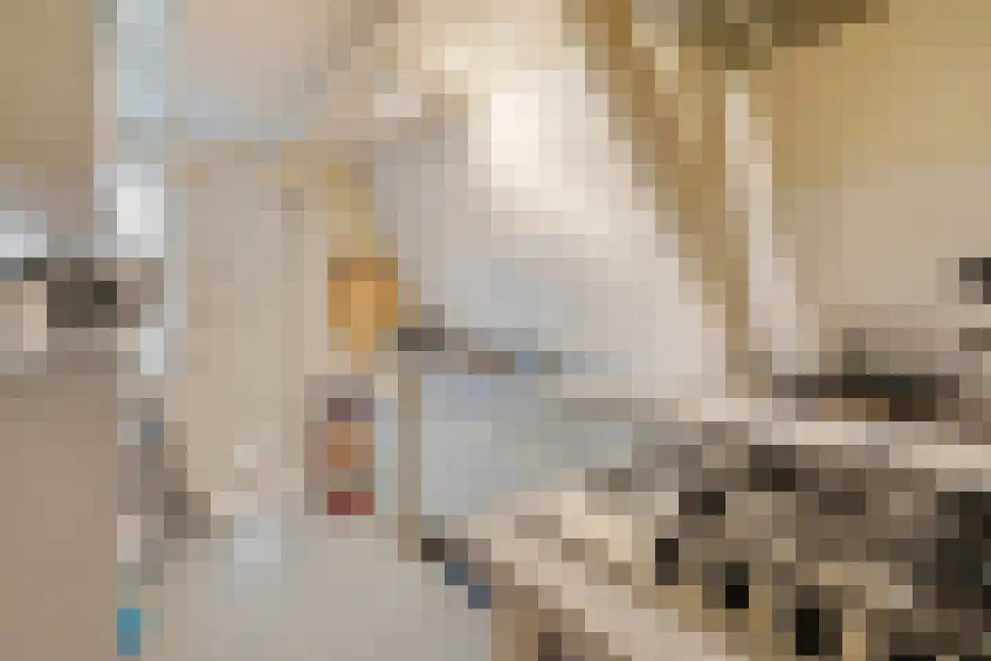 Herenweg 72 Utrecht thumbnail 27