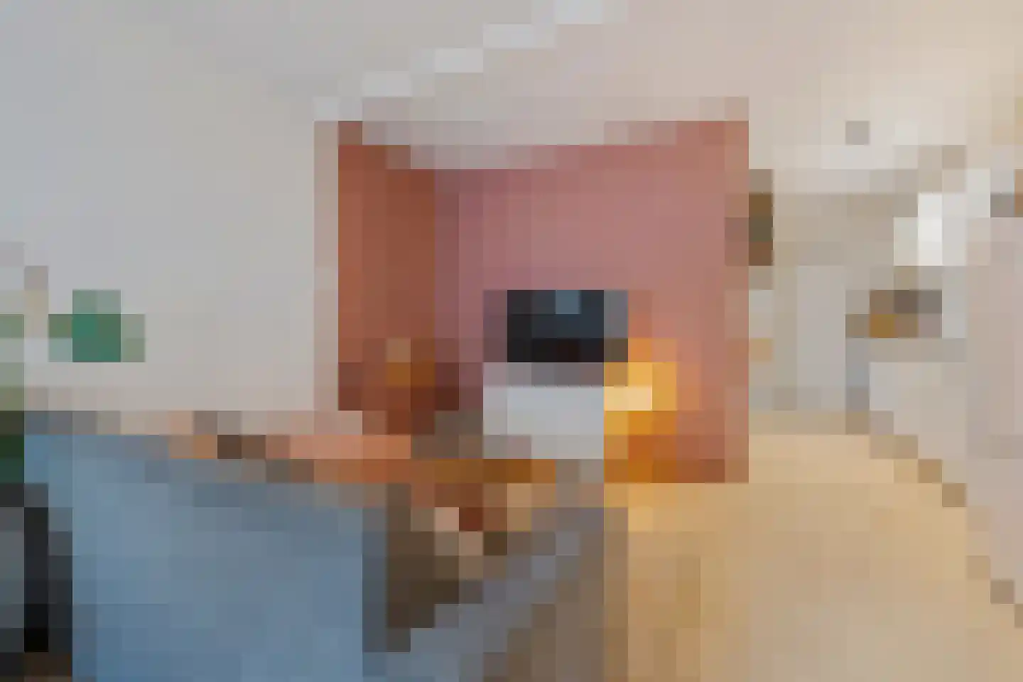 Herenweg 72 Utrecht thumbnail 4