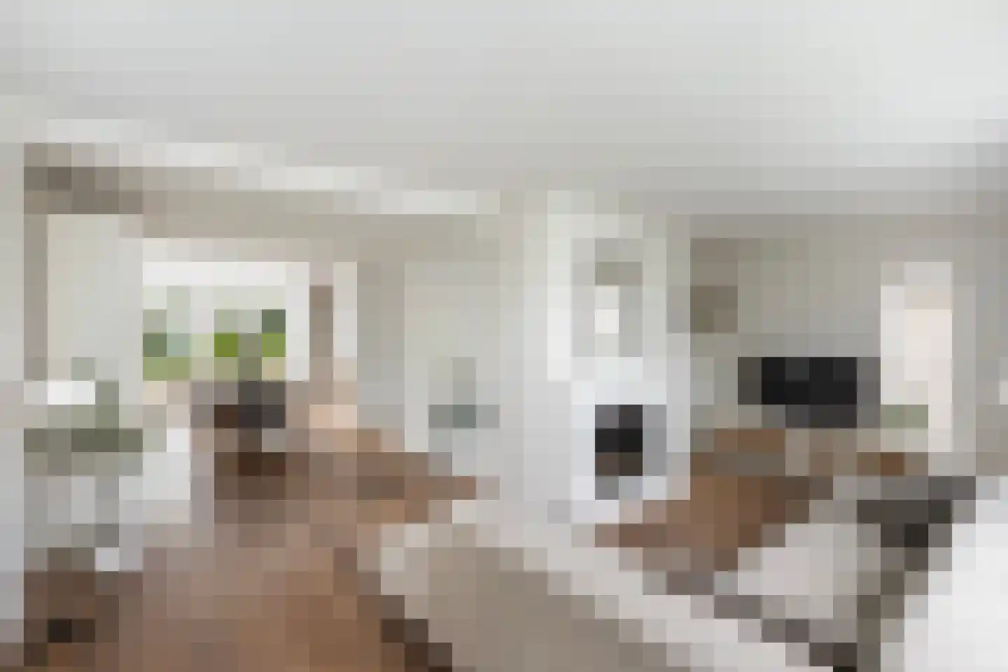 Herenweg 72 Zwolle thumbnail 5
