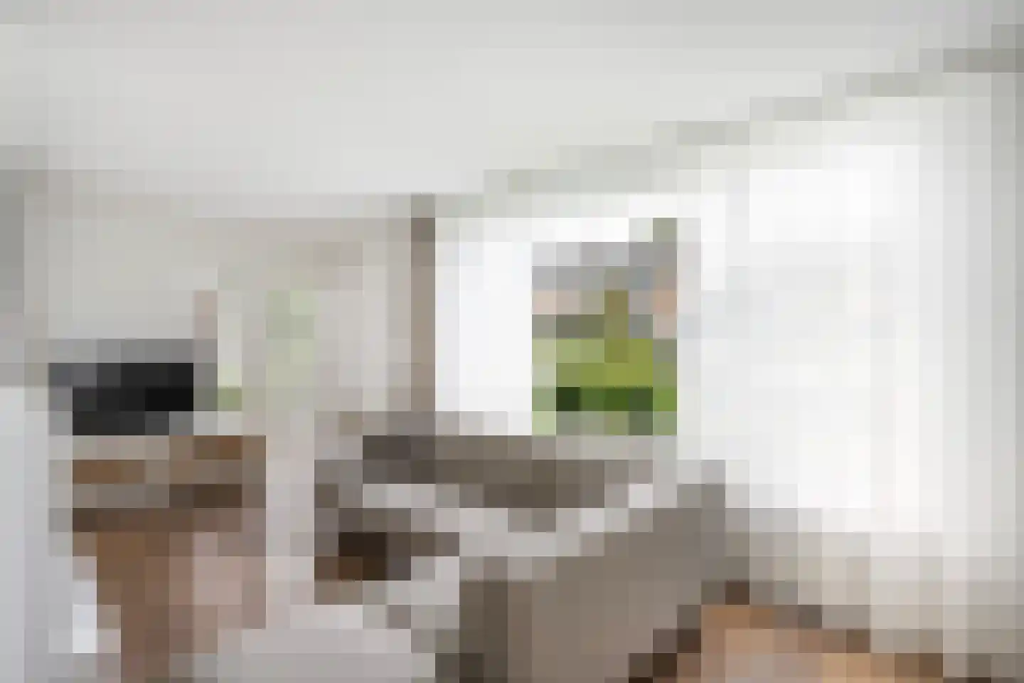 Herenweg 72 Zwolle thumbnail 6