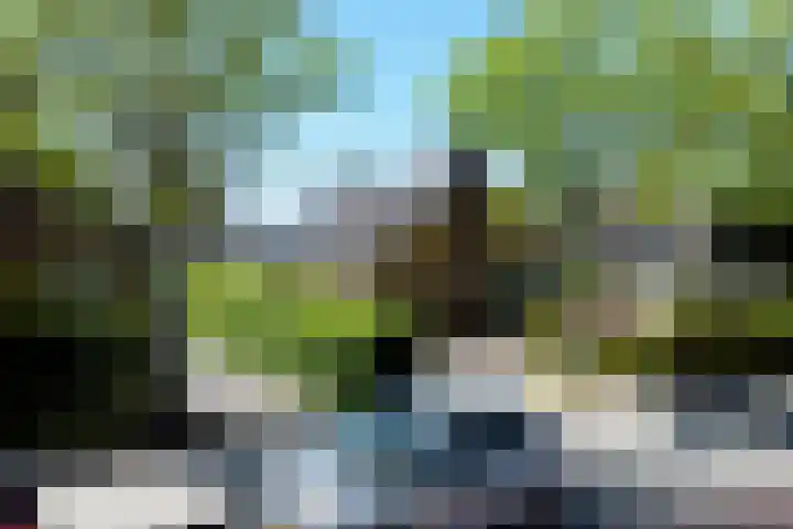 Herenweg 73 B Egmond-Binnen thumbnail 40