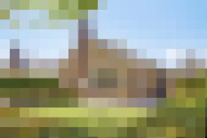 Herenweg 73 B Egmond-Binnen thumbnail 6