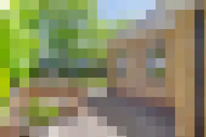 Herenweg 73 B Egmond-Binnen thumbnail 8