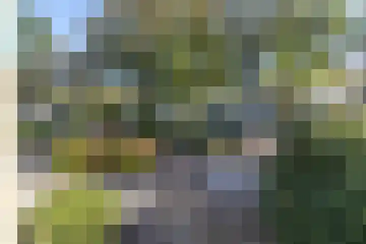 Herenweg 73 C Egmond-Binnen thumbnail 32