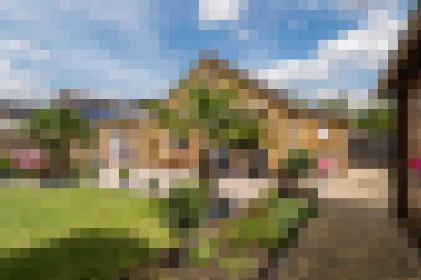 Herenweg 73 Egmond-Binnen thumbnail 35