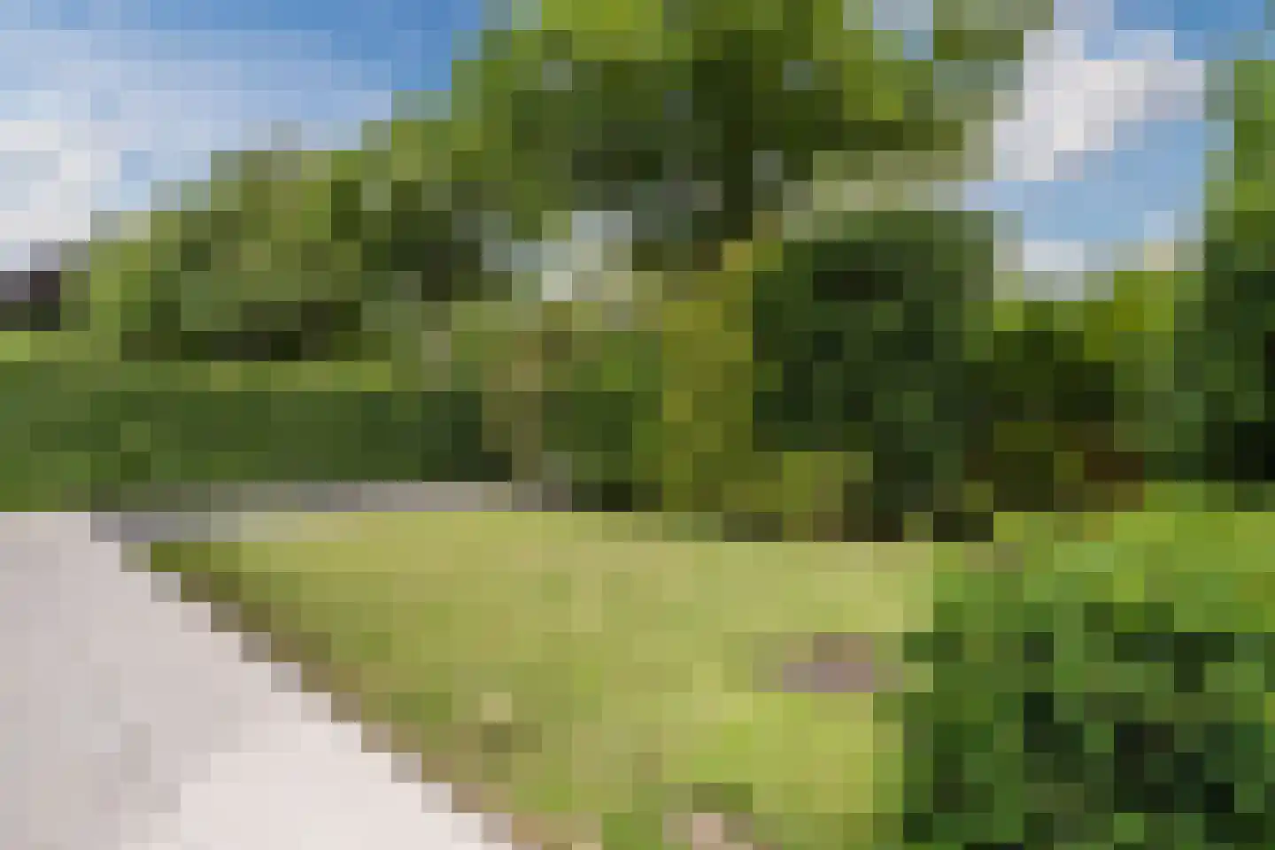 Herenweg 73 Egmond-Binnen thumbnail 8