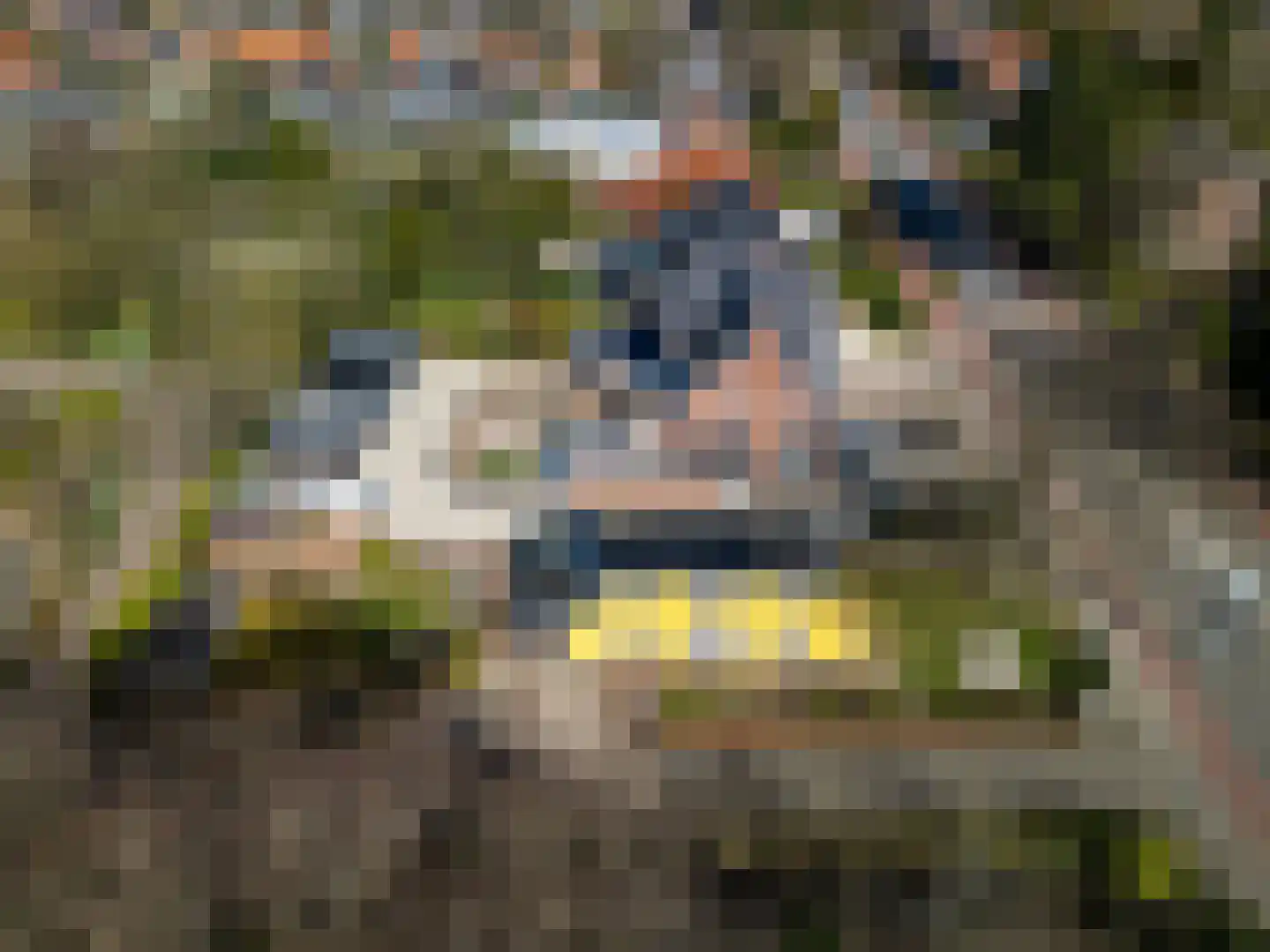 Herenweg 73 Heemstede thumbnail 57