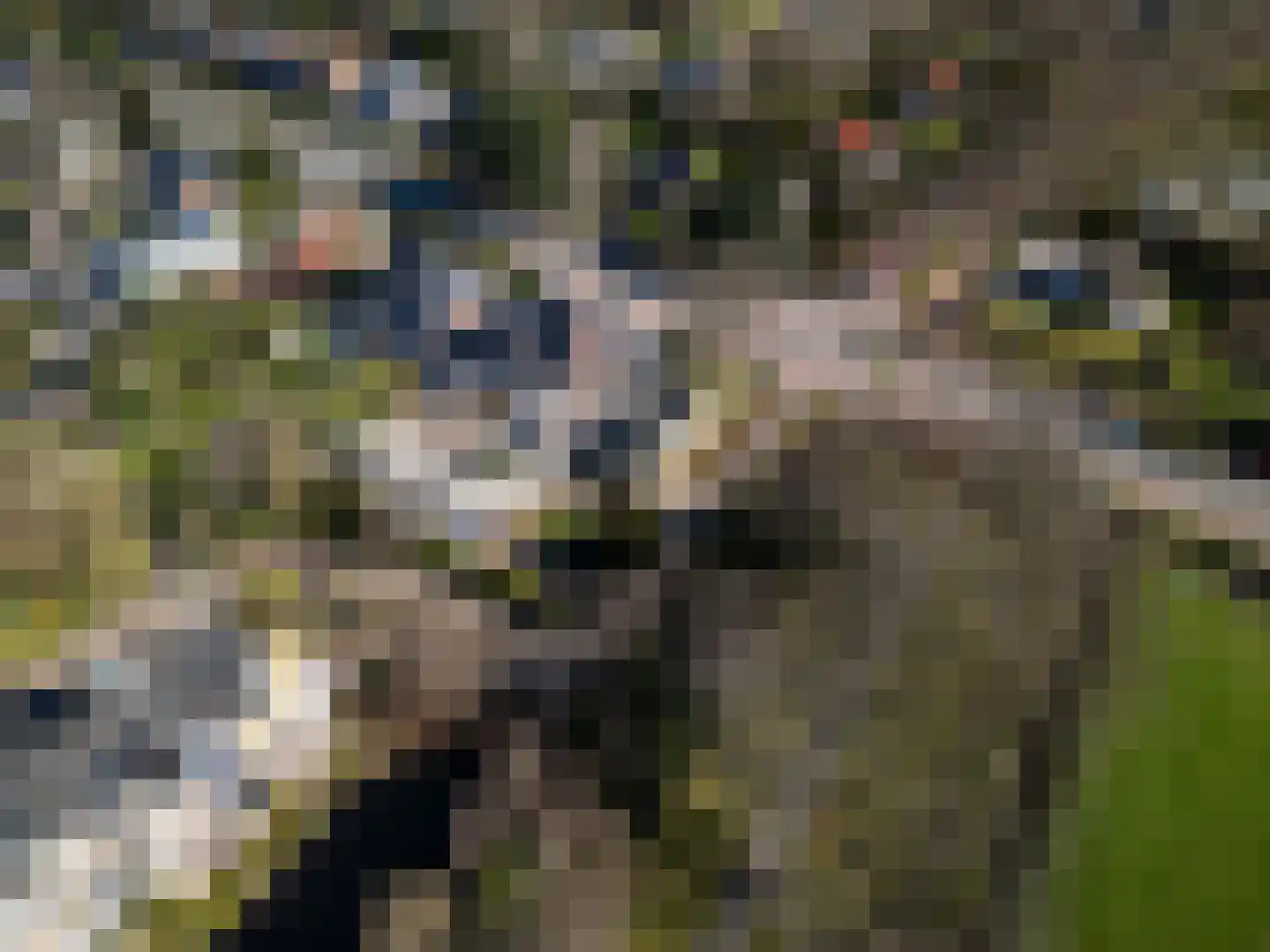Herenweg 73 Heemstede thumbnail 61