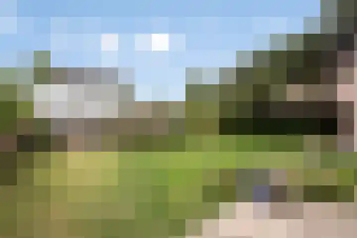 Herenweg 73 Warmond thumbnail 28