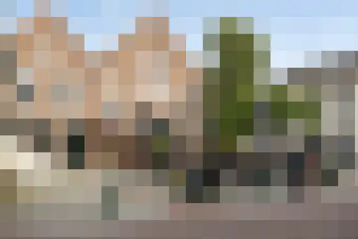Herenweg 73 Warmond thumbnail 39