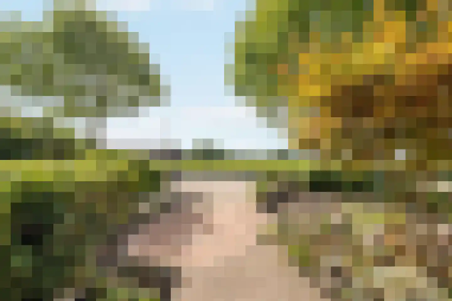 Herenweg 74 Ankeveen thumbnail 7