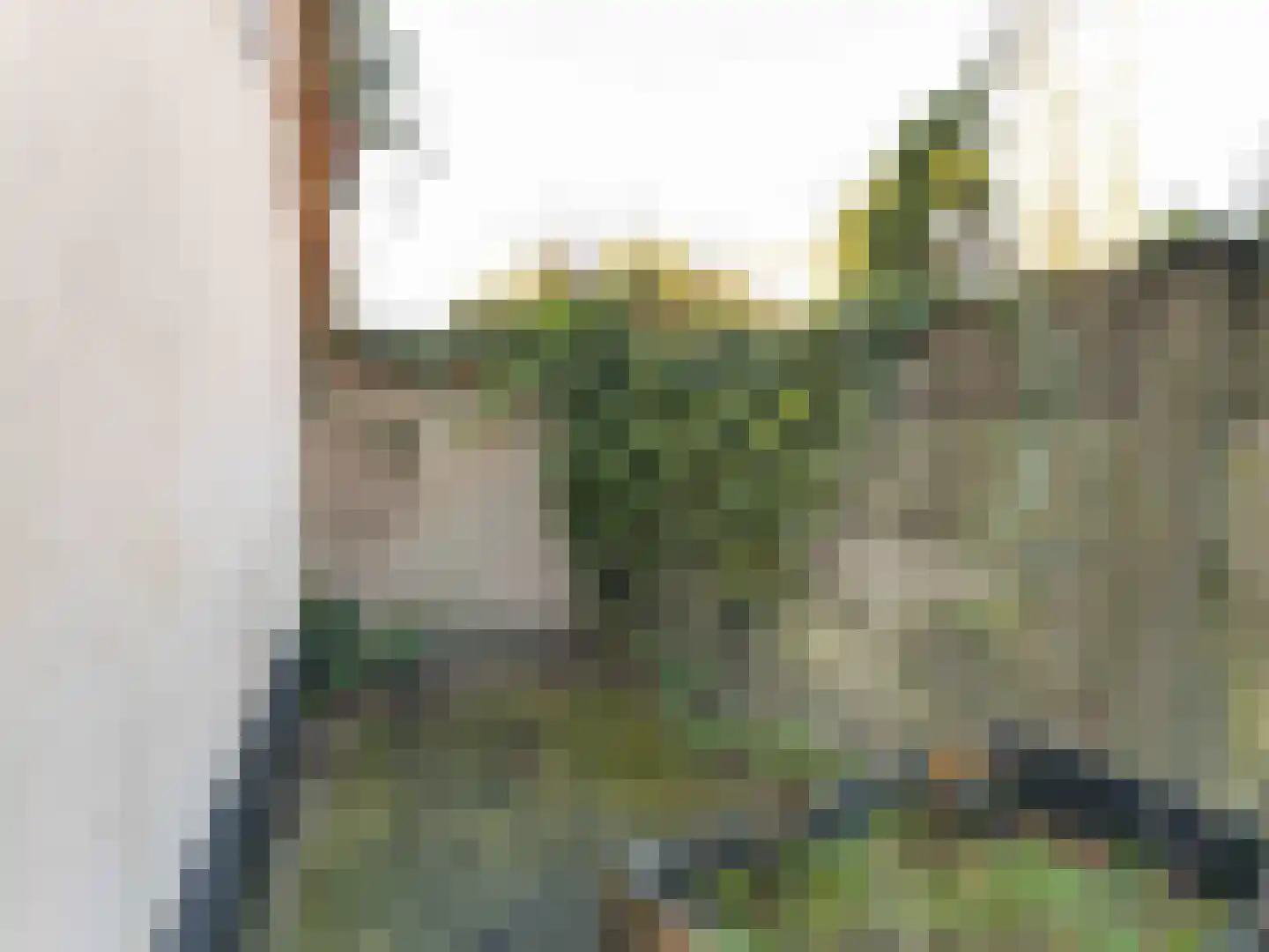 Herenweg 74 Utrecht thumbnail 19