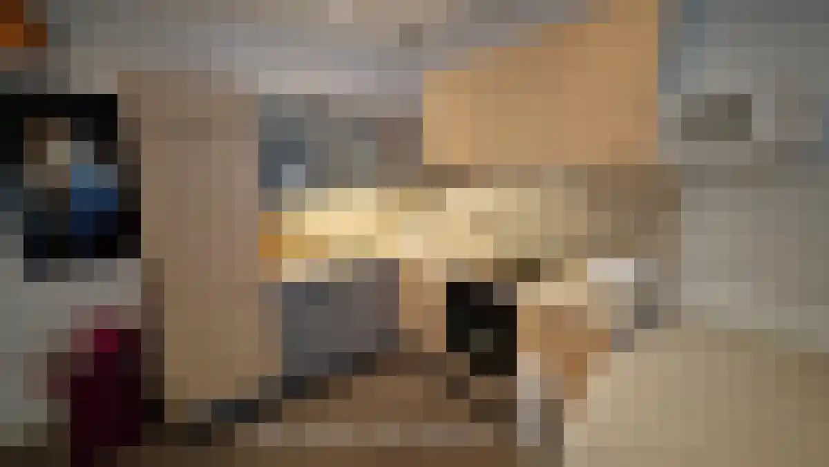 Herenweg 74 Utrecht thumbnail 5