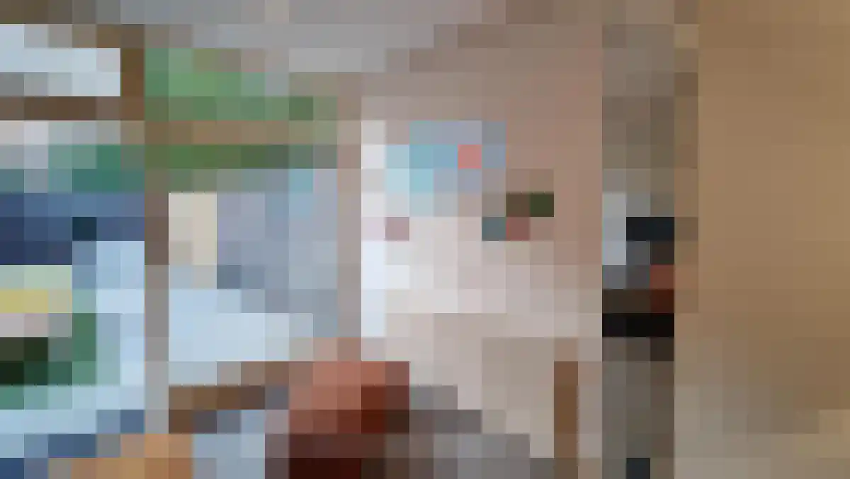 Herenweg 74 Utrecht thumbnail 6
