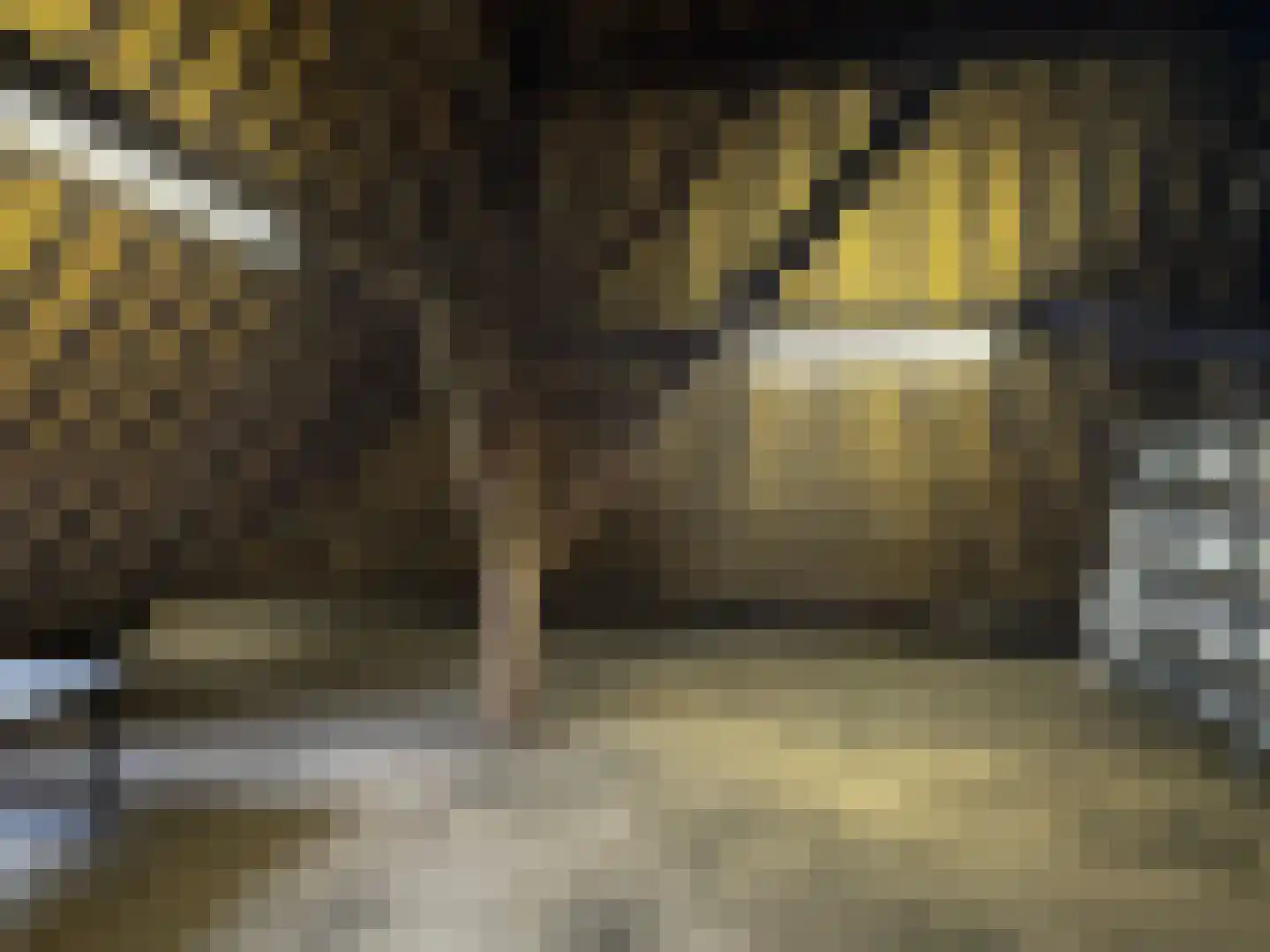 Herenweg 76 Hoogwoud thumbnail 40