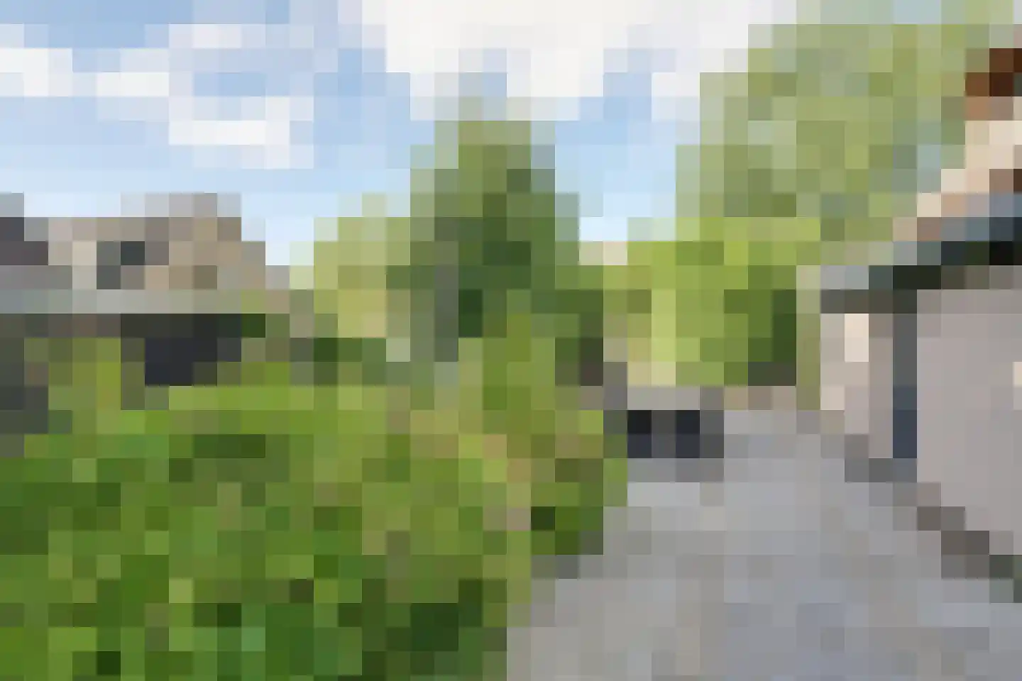 Herenweg 76 Hoogwoud thumbnail 62