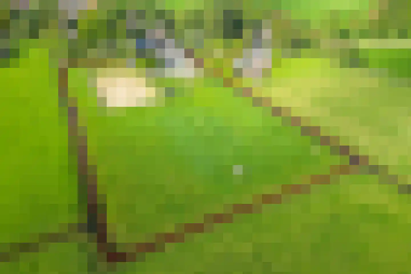 Herenweg 76 Hoogwoud thumbnail 81