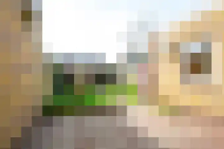 Herenweg 77 B Egmond-Binnen thumbnail 15