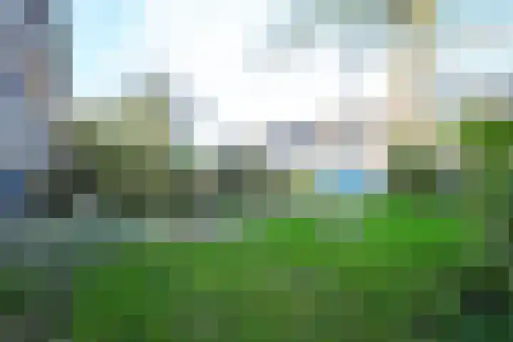 Herenweg 77 B Egmond-Binnen thumbnail 35