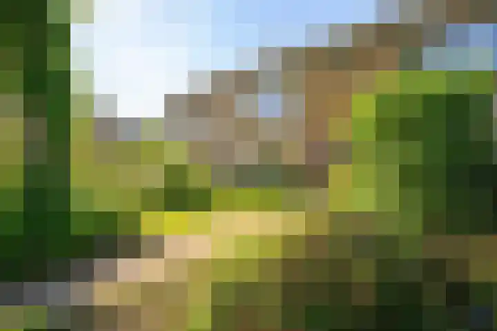 Herenweg 77 B Egmond-Binnen thumbnail 5