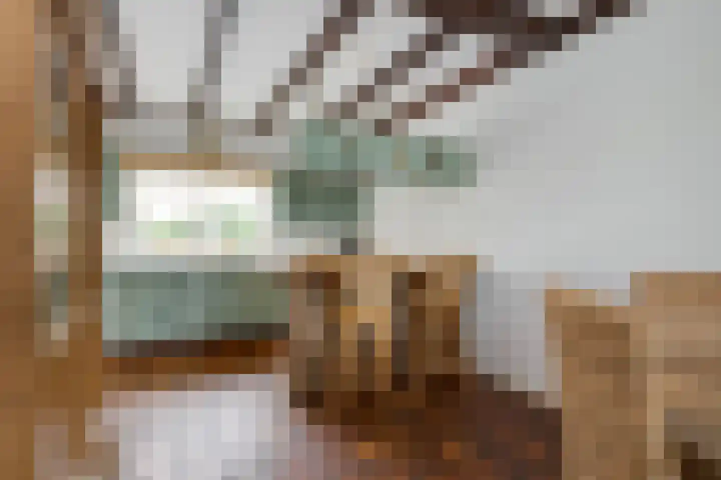 Herenweg 78 Rijnsaterwoude thumbnail 18