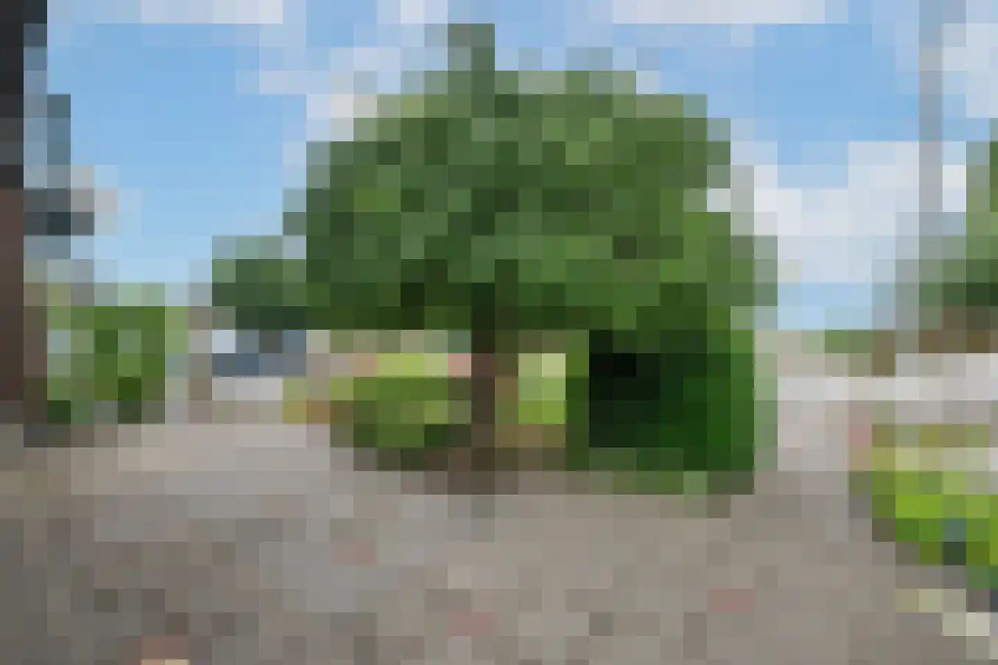 Herenweg 78 Rijnsaterwoude thumbnail 5