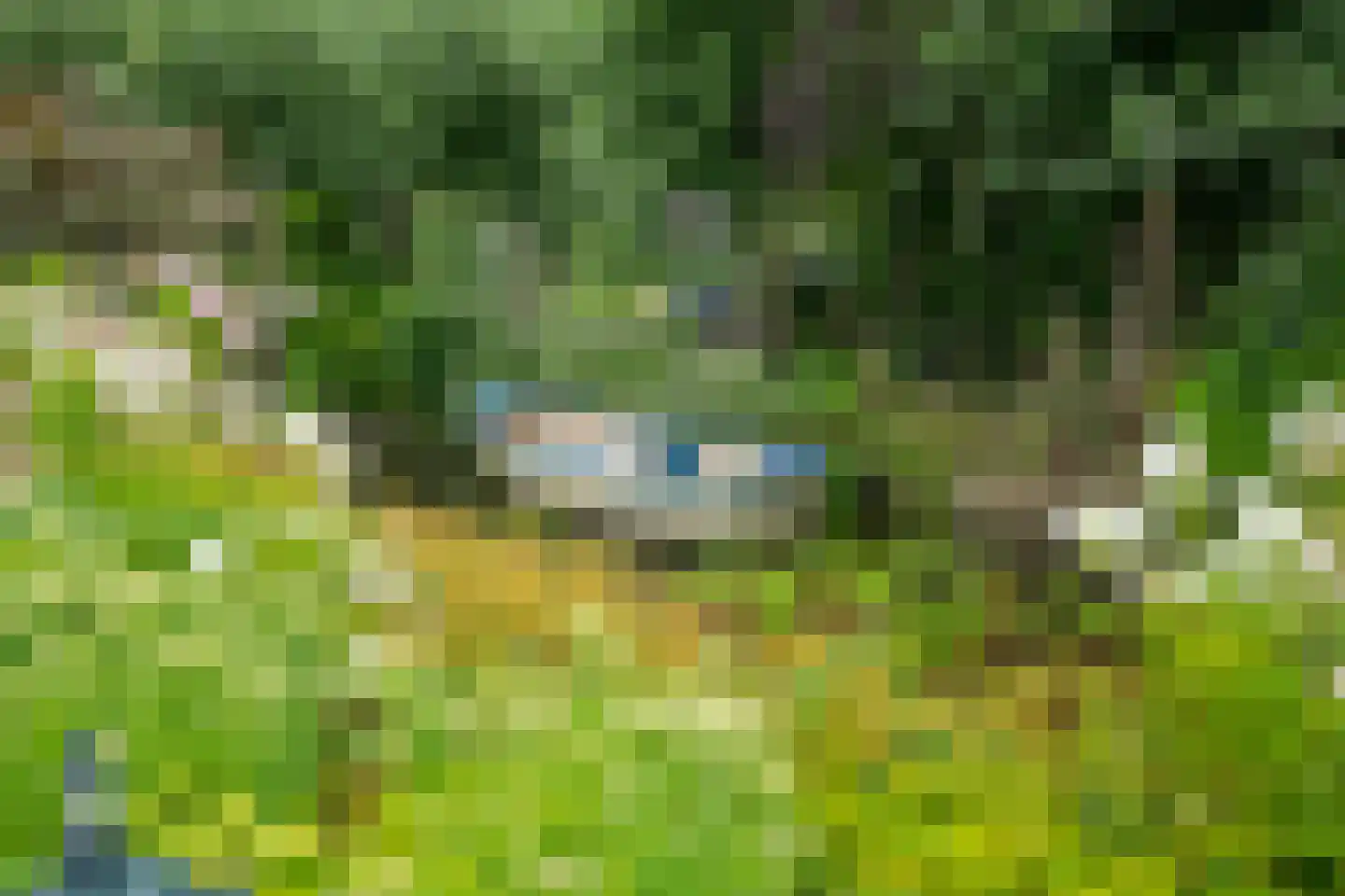 Herenweg 78 Rijnsaterwoude thumbnail 6