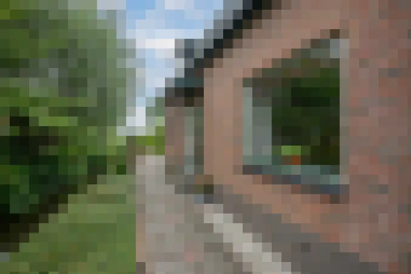 Herenweg 78 Rijnsaterwoude thumbnail 7
