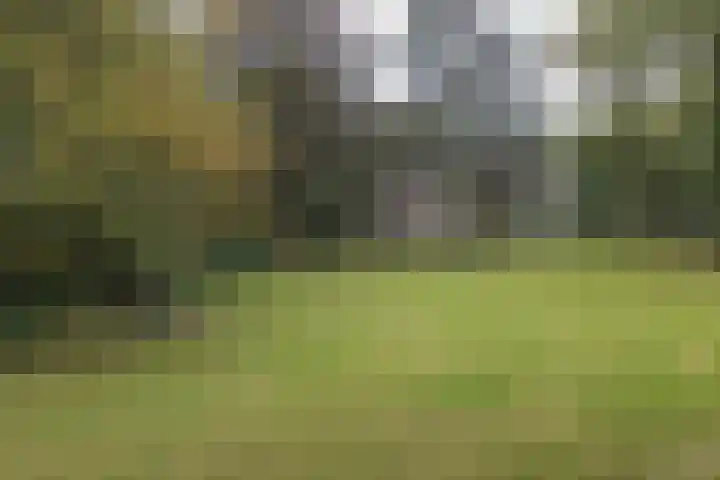 Herenweg 8 A 2 Heemstede thumbnail 32