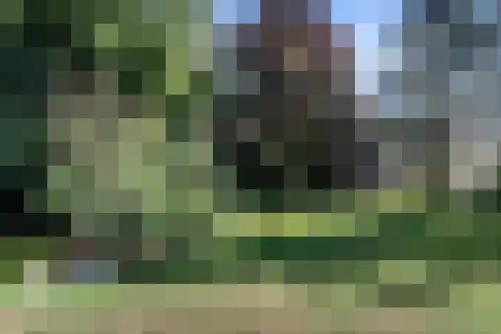 Herenweg 8 A 6 Heemstede thumbnail 34