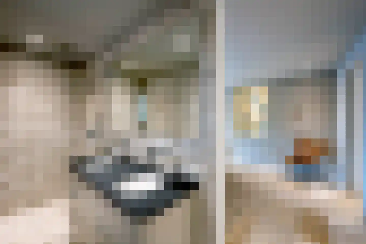 Herenweg 80 Kudelstaart thumbnail 19