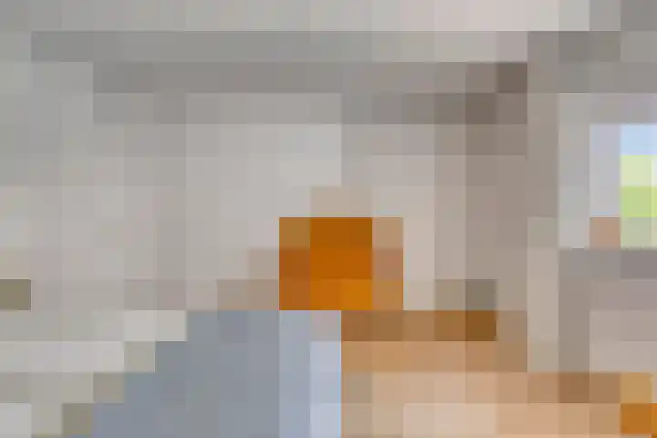 Herenweg 81 Rijnsaterwoude thumbnail 18