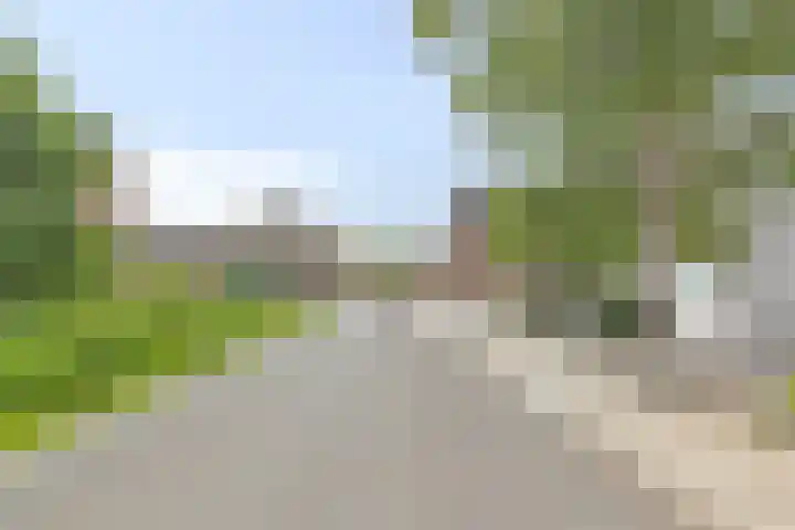 Herenweg 81 Rijnsaterwoude thumbnail 37