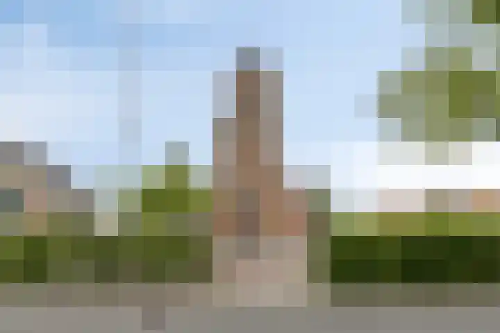 Herenweg 81 Rijnsaterwoude thumbnail 39