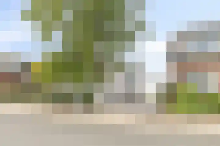 Herenweg 81 Rijnsaterwoude thumbnail 4